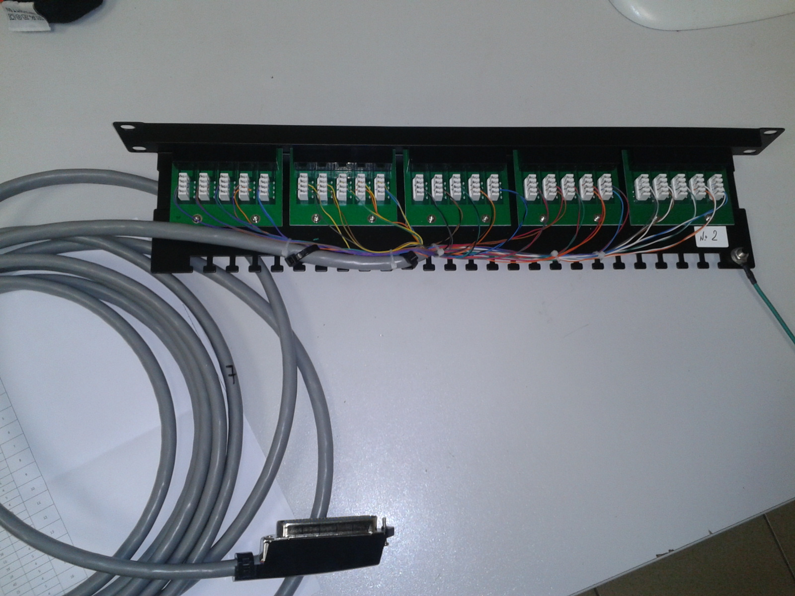 rj21 patch panel