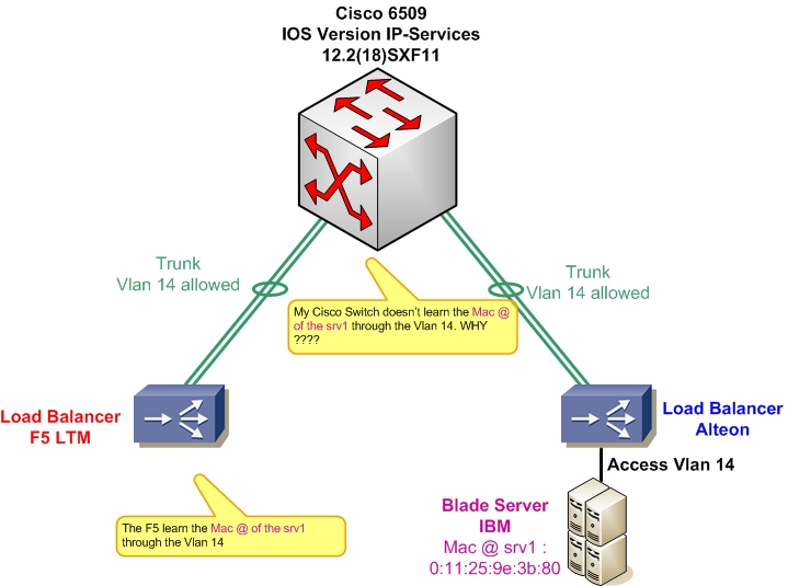 Pb-Vlan14.jpg