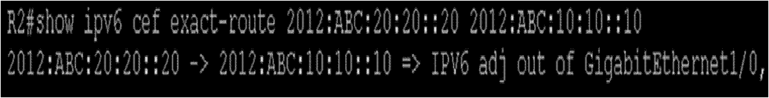 show ipv6 cef exact-route.GIF