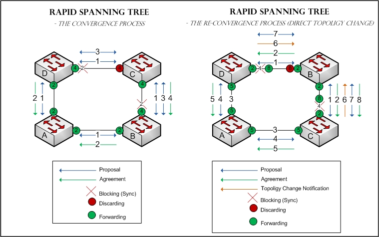 RSTP Convergence - Cisco Community