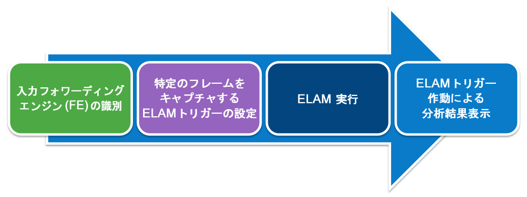 elam_workflow.png