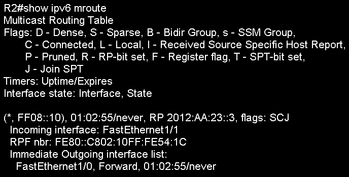 show ipv6 mroute.bmp