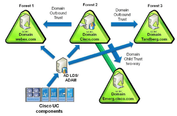 ucm-multi-forest-03.gif