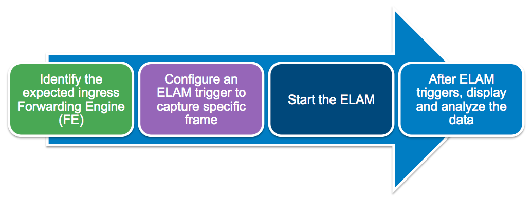 elam_workflow.png