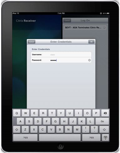 10.UA_citrix_receiver_ipad4.jpg