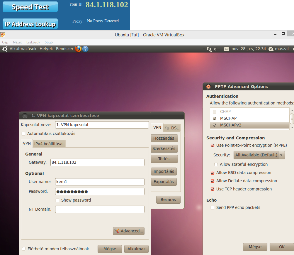 ubu10.04lts-vpn-settings.png