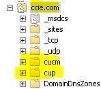 DNS Config