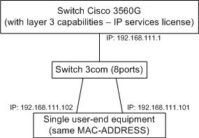 Two different IP Addresses for the same MAC Addresses. Impossible to ping  one of them... - Cisco Community