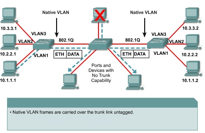 Solved Why Native Vlan Is Used Cisco Community