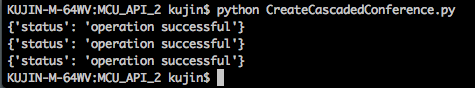 python_api_launch