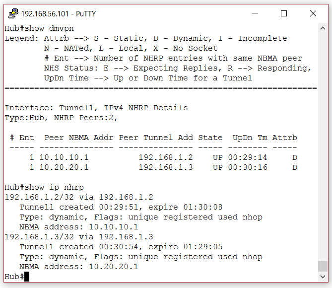 Show dmvpn HUB