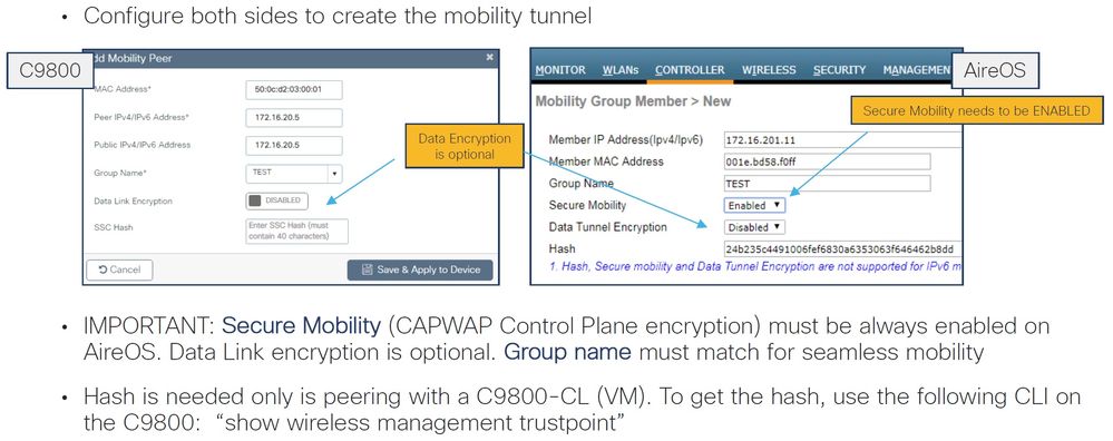 Mobility Tunnel2.jpg