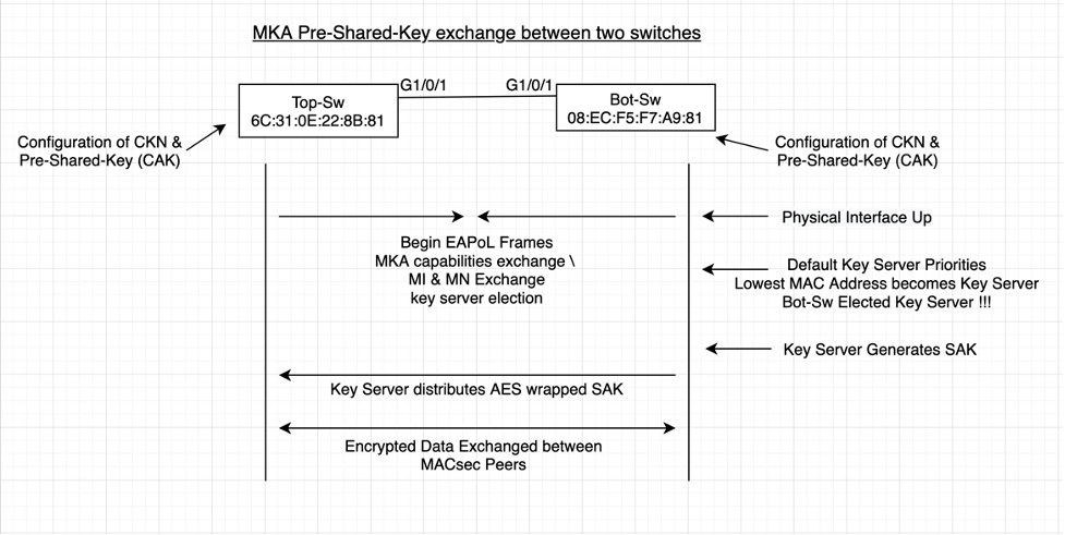 network-diagram.png