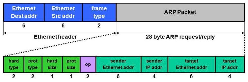 ARP Format.jpg