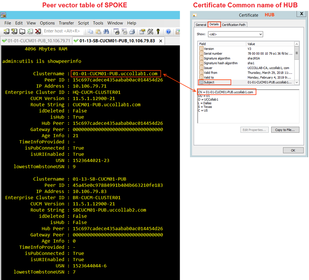 ILS Configuration with Certificate authentication common name.png