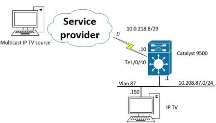 multicast.jpg