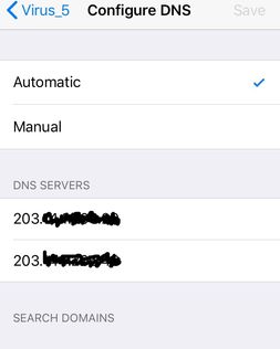 auto dns.jpg