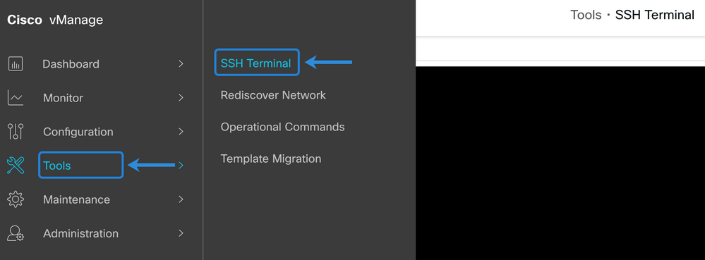 SSH Terminal Verification.png