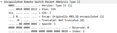 VLAN519.png