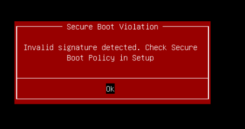 VMware boot error 1.PNG