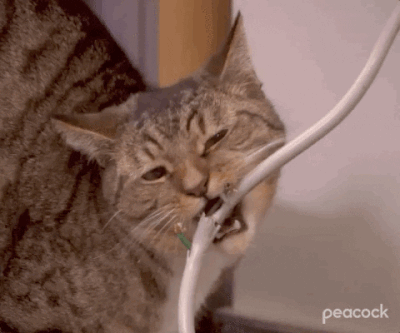 catcable.gif catcable.gif
