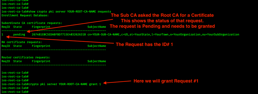 root-crypto-pki-server-grant-WEB.png