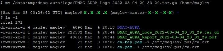 aura 4.jpeg aura 4.jpeg