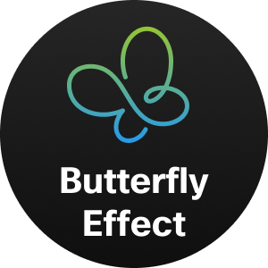 Butterfly Effect