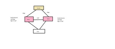 OSPF BGP.jpg