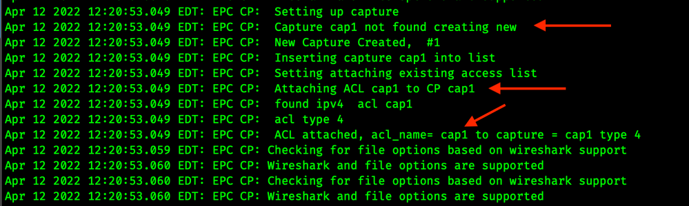 debug epc capture-point - WEB.png