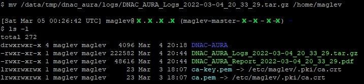 aura 4.jpeg aura 4.jpeg