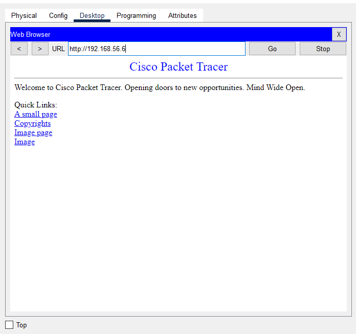 Connect to the internet from Cisco Packet Tracer - Cisco Community