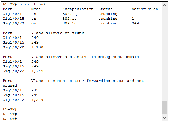 Trunk Native VLAN