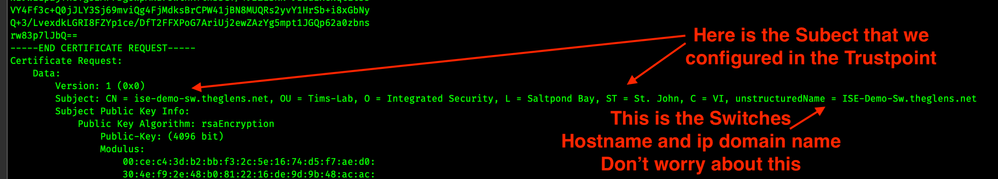 openssl req 2 (WEB).png