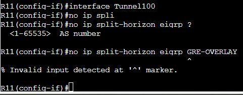 R11_Tunnel100Int-SplitHorizon.JPG