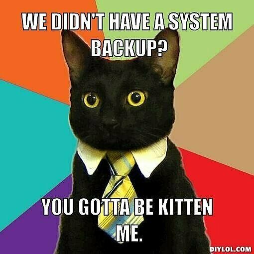 13ea76a8-e839-4dc8-9021-e097bcc320a3-business-cat-meme-generator-we-didn-t-have-a-system-backup-you-gotta-be-kitten-me-7e09b9.jpg