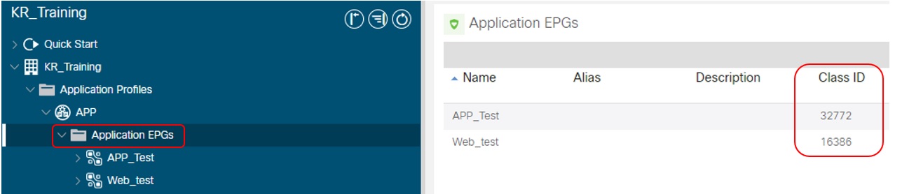Cisco Aci Security Features