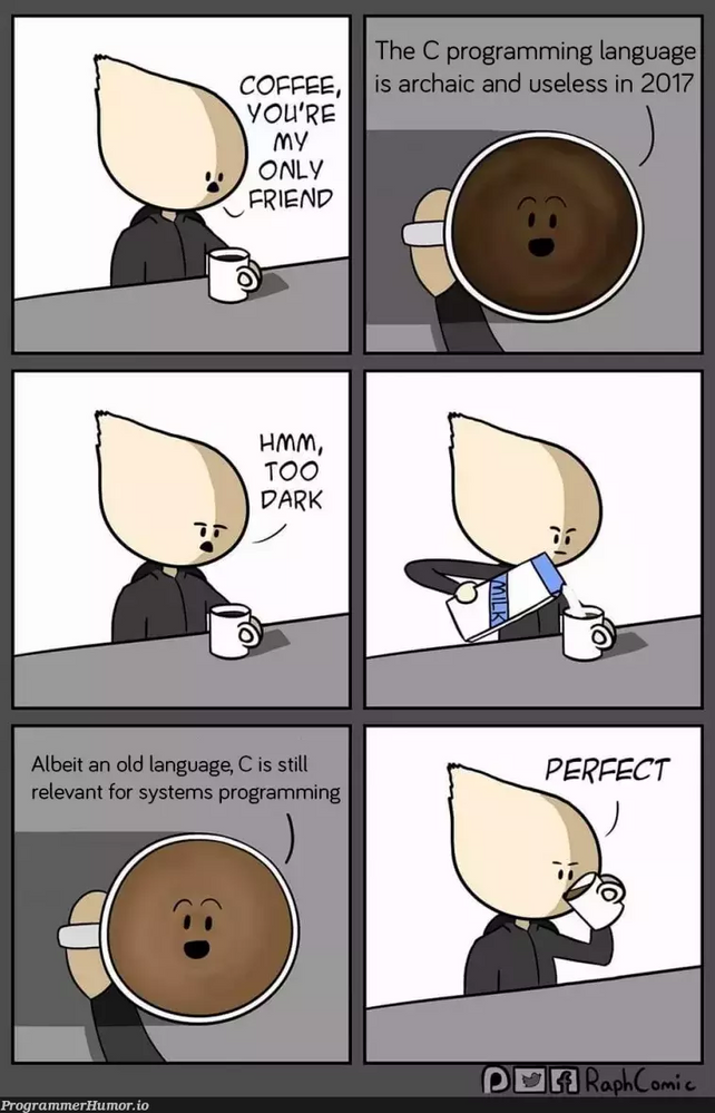 programmerhumor-io-raphcomic-coffee-youre-my-only-friend-c-programming-language.png