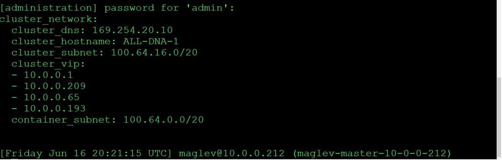 maglev output for cluster name.jpg