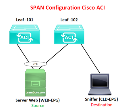 ACI-SPAN.png