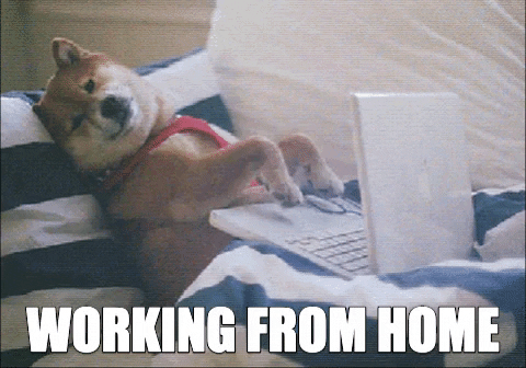 2X_9_981739d38c6a7fe62afd8330fc40148a31bad463.gif