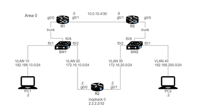 OSPF VLAN.png