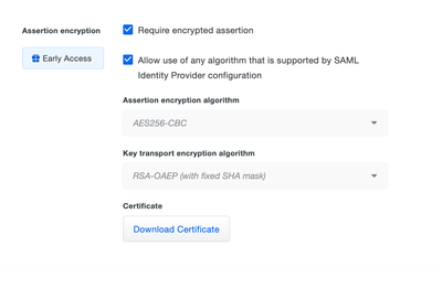 Assertion encryption settings