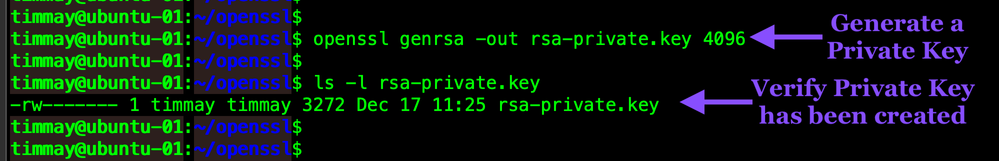 openssl-genrsa-private-key-WEB.png