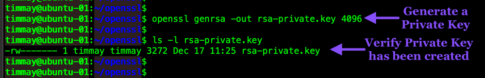 openssl-genrsa-private-key-WEB.png openssl-genrsa-private-key-WEB.png