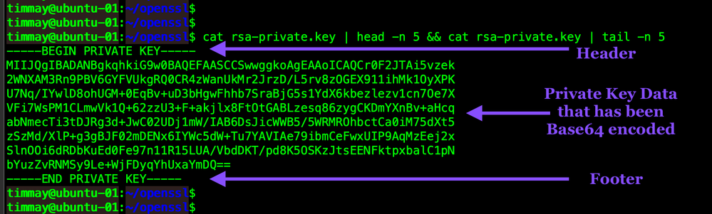cat-private-key-WEB.png cat-private-key-WEB.png