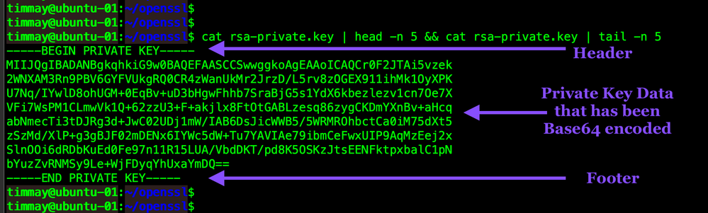 cat-private-key-WEB.png