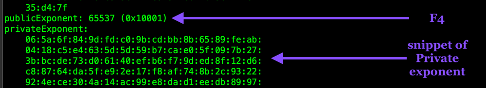 openssl-rsa-in-privkey2-exponent-WEB.png openssl-rsa-in-privkey2-exponent-WEB.png