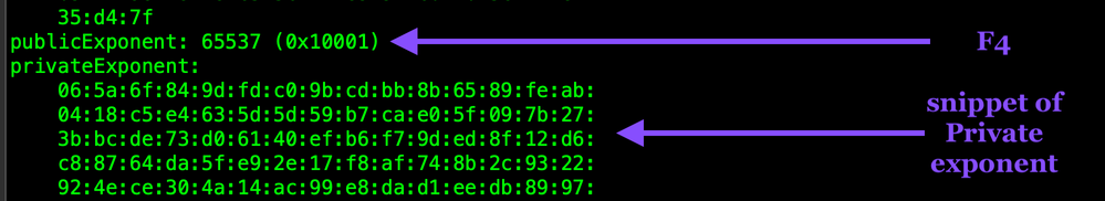 openssl-rsa-in-privkey2-exponent-WEB.png