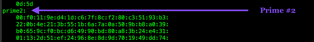 openssl-rsa-in-privkey3-prime2-WEB.png